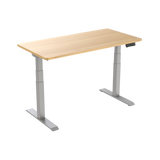 Standing Office Desk - North Pro Northdesk